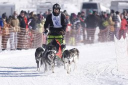 Lenk 2013